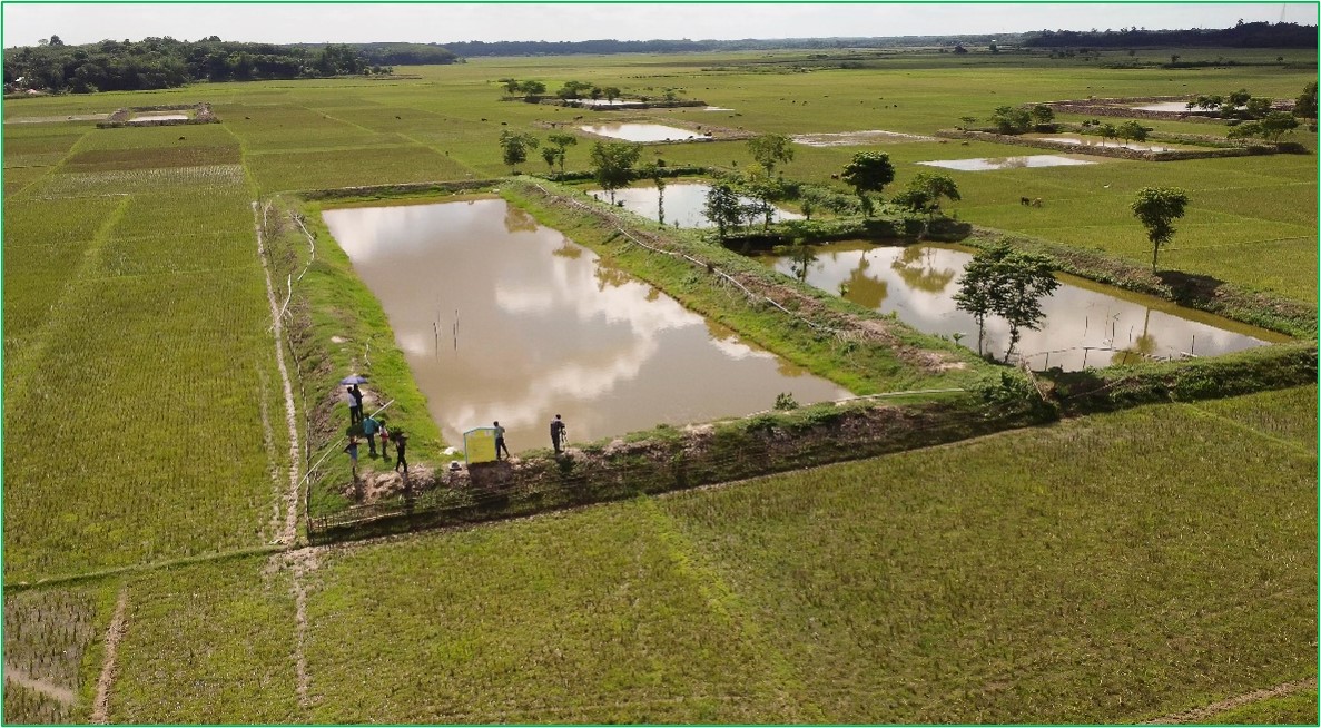 Water conservation pond